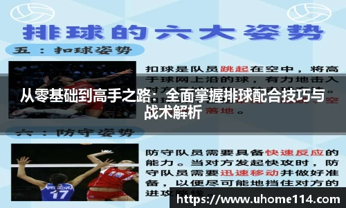 乐球直播体育