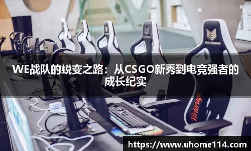 乐球体育直播