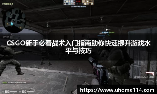 乐球体育直播