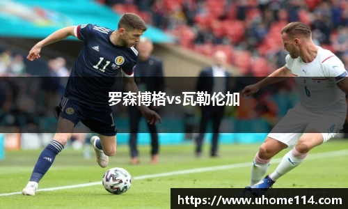 罗森博格vs瓦勒伦加